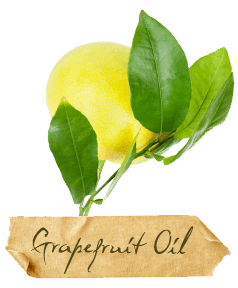 greibiõli