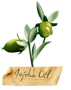 jojoba