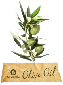 oliiv