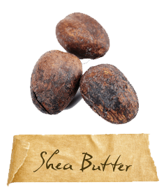 shea